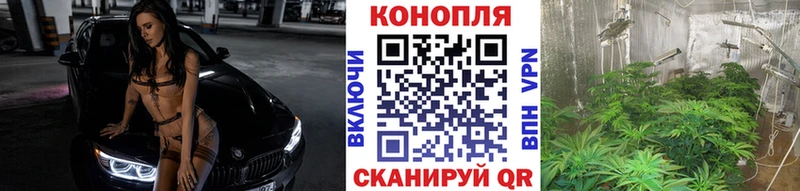 Хочу наркоту Козьмодемьянск A-PVP  МЕГА вход  МАРИХУАНА  Мефедрон  Галлюциногенные грибы 