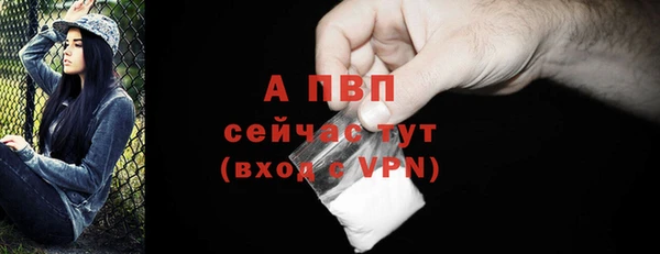 эйфоретик Белокуриха