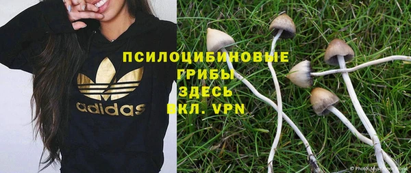 каннабис Богородицк