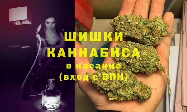 эйфоретик Белокуриха