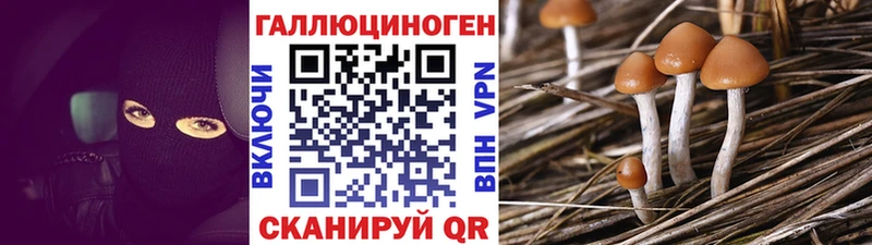 где найти наркотики  Козьмодемьянск  Псилоцибиновые грибы прущие грибы 